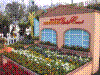flower show2004 054.jpg